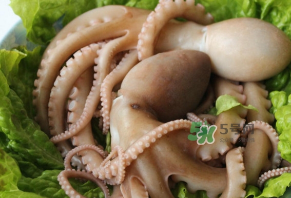 八爪魚的頭能吃嗎？八爪魚的頭里面是什么