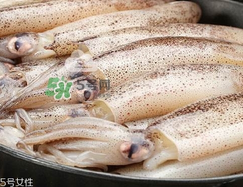 海兔子是什么？海兔子是墨魚(yú)嗎