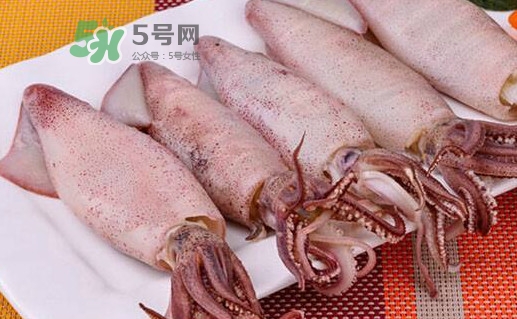 海兔子是小魷魚嗎？海兔子和魷魚的區(qū)別
