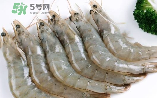 厄瓜多爾蝦是海蝦嗎？厄瓜多爾蝦好吃嗎？