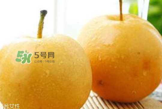 圓黃梨好吃嗎？圓黃梨的功效與作用