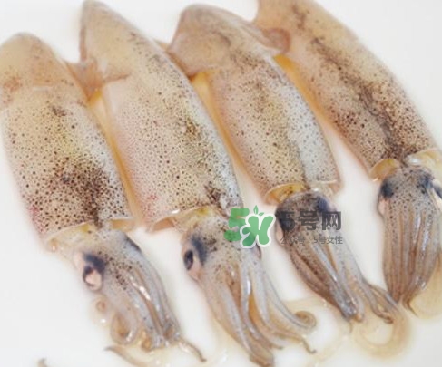 筆管魚是什么魚？筆管魚怎么吃