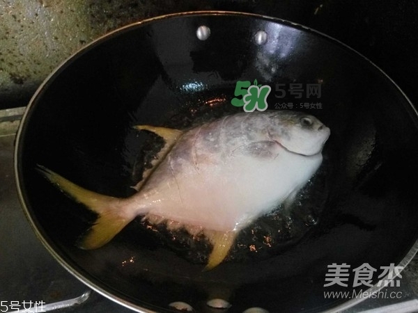 金鯧魚是海魚嗎？金鯧魚的刺多嗎？