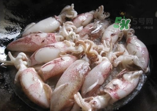 筆管魚是魷魚嗎？筆管魚和魷魚的區(qū)別