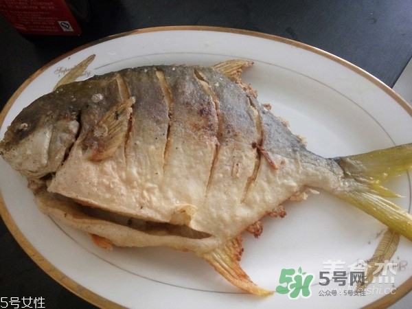 金鯧魚是海魚嗎？金鯧魚的刺多嗎？