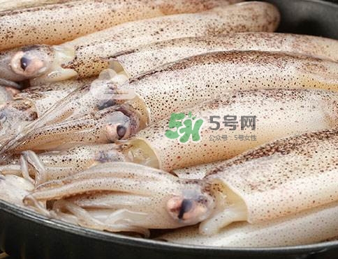 筆管魚是什么魚？筆管魚怎么吃
