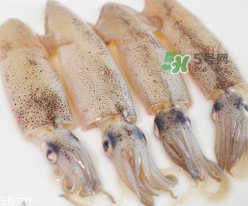 海兔子是什么？海兔子是墨魚(yú)嗎