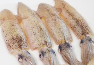 筆管魚是什么魚？筆管魚怎么吃