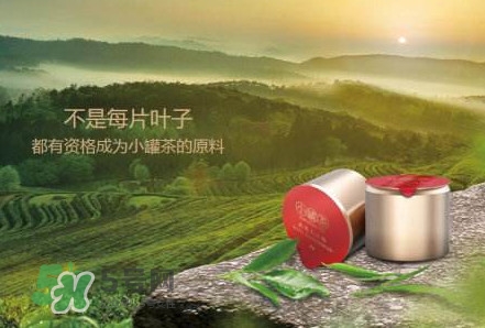 小罐茶怎么樣？小罐茶真的有那么好么