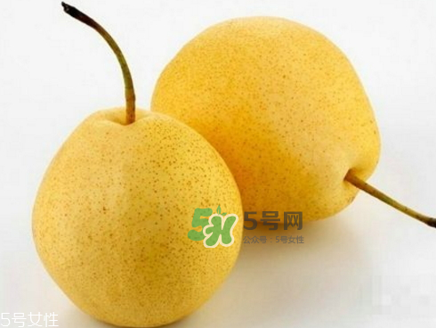 貢梨可以做冰糖雪梨嗎？貢梨可以燉川貝嗎？