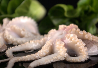 章魚有幾只腳？章魚有幾個爪子