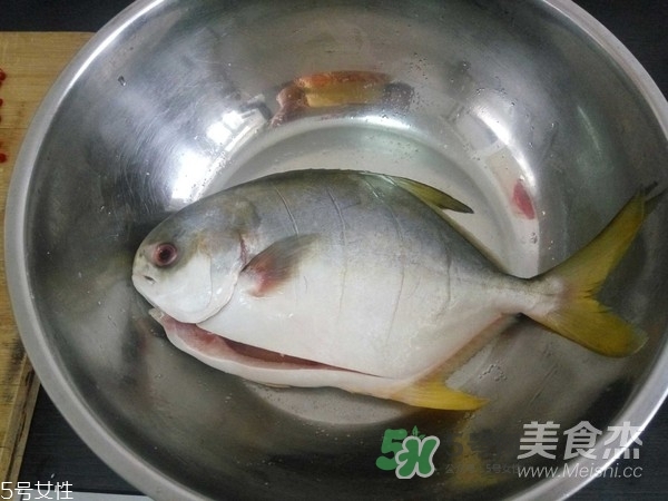 金鯧魚是海魚嗎？金鯧魚的刺多嗎？