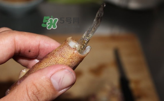 筆管魚怎么清洗？筆管魚怎么處理