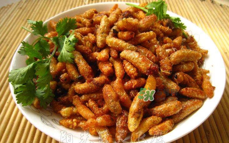 蜂蛹可以生吃嗎？蜂蛹的營養(yǎng)價(jià)值