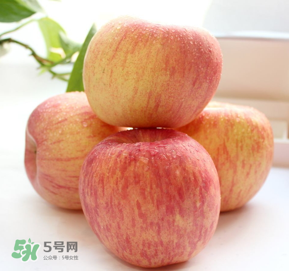 蘋果種類有哪些？蘋果種類哪種最好