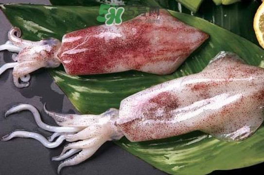 新鮮魷魚怎么處理？魷魚怎么清洗？