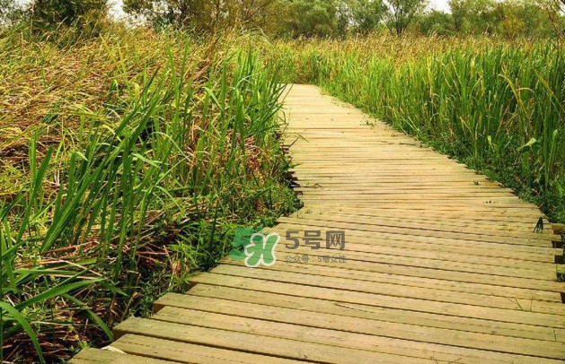 心碎綜合癥是抑郁癥嗎？心碎綜合癥怎么治療