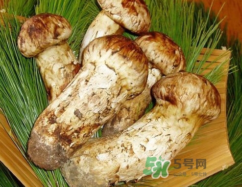 新鮮松茸怎么清洗？新鮮松茸怎么處理