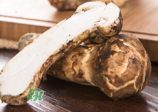 新鮮松茸怎么挑選？干松茸如何挑選