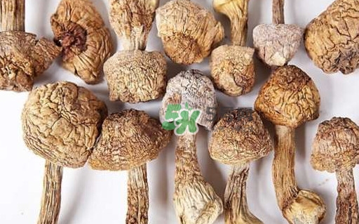 干松茸要泡多久？干松茸用冷水泡還是溫水泡好