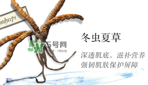 菌菇水是哪個(gè)國家的？悅木之源菌菇水是日本的嗎
