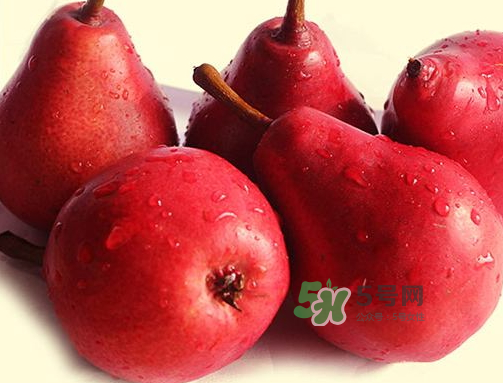 紅啤梨可以放冰箱嗎？紅啤梨怎么保存？
