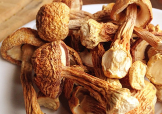 干松茸怎么清洗？干松茸如何辨別真?zhèn)?><p><strong>干松茸怎么清洗？干松茸如何辨別真?zhèn)?/strong></p></a></li> <li><a href=