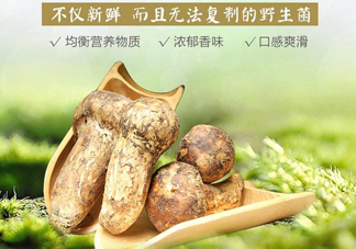 新鮮松茸怎么挑選？干松茸如何挑選