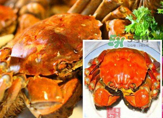 紅印蟹怎么回事？紅印蟹有什么不同？
