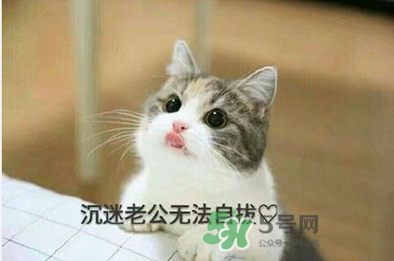 南方老公和東北老公哪個(gè)好？南方老公和東北老公的區(qū)別