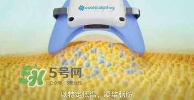 酷塑溶脂效果對(duì)比圖片 酷塑溶脂全過程記錄