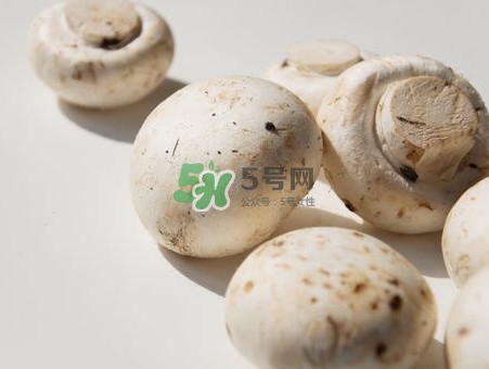 白蘑菇是什么種類？白蘑菇怎么洗才洗得干凈