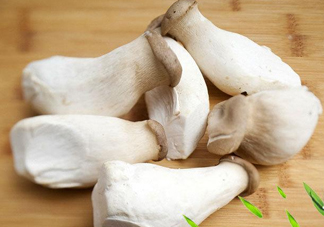 杏鮑菇是發(fā)物嗎？杏鮑菇怎么切好看