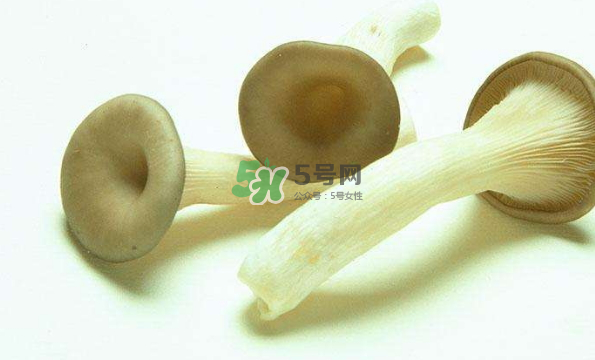 蘑菇不能和茄子一起吃嗎？蘑菇不能和什么一起吃？