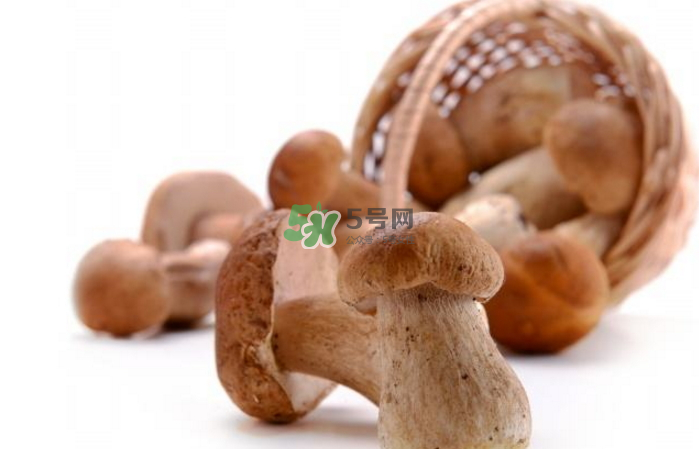 蘑菇能放冰箱嗎？蘑菇能放冰箱多長時(shí)間？