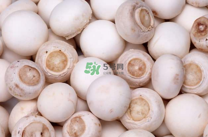 蘑菇能放冰箱嗎？蘑菇能放冰箱多長時(shí)間？