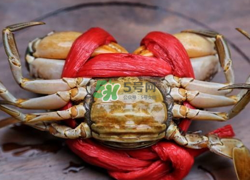 黃油蟹什么季節(jié)吃最好？黃油蟹產(chǎn)地