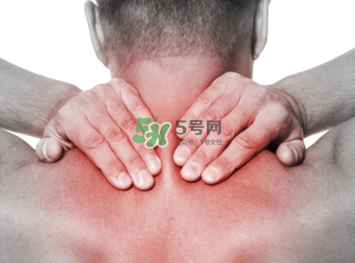 碧緹福護(hù)頸儀多少錢？碧緹福護(hù)頸儀價格