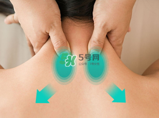 碧緹福護(hù)頸儀多少錢？碧緹福護(hù)頸儀價格