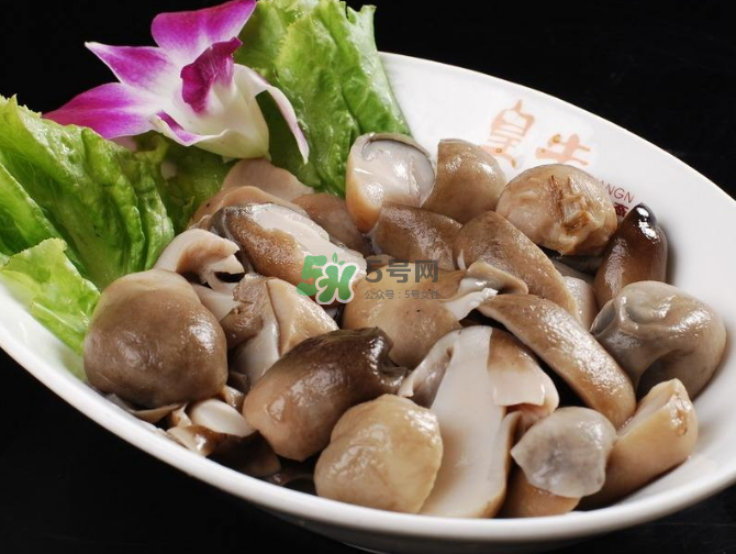 草菇孕婦能吃嗎？草菇要煮多久可以吃？
