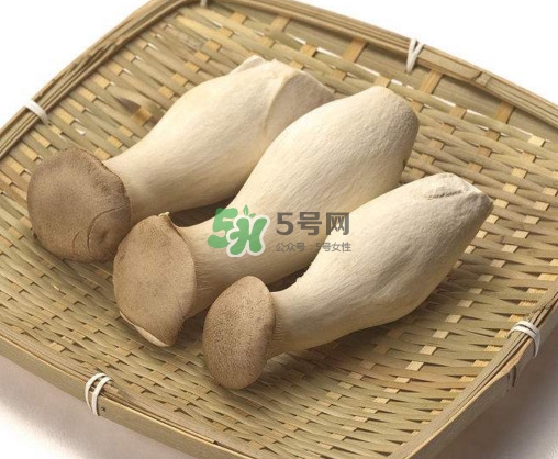 杏鮑菇有什么營(yíng)養(yǎng)價(jià)值？杏鮑菇產(chǎn)地在哪里