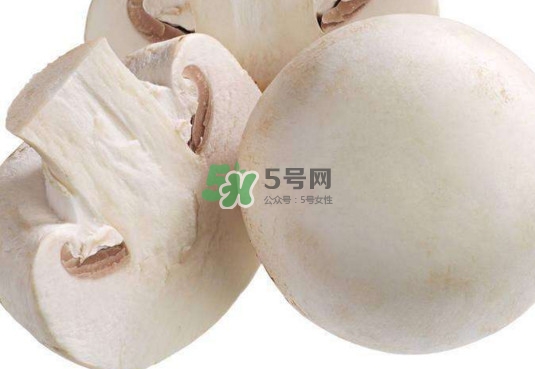 新鮮白蘑菇怎么做好吃？白蘑菇有什么好處
