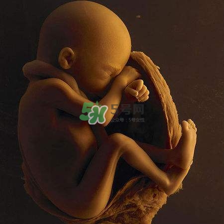 臍帶繞頸是什么意思？臍帶繞頸兩周怎么糾正？