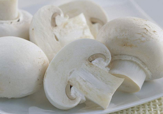 白蘑菇是什么蘑菇？白蘑菇有毒嗎