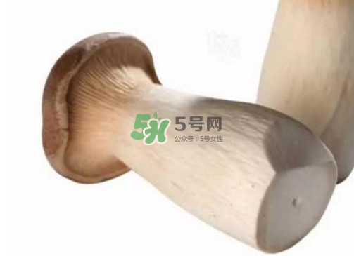 杏鮑菇有苦味還能吃嗎？杏鮑菇有酒味是壞了嗎