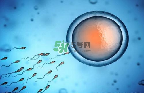 精子在女性體內(nèi)可以存活多久？男性的精子會枯竭嗎？
