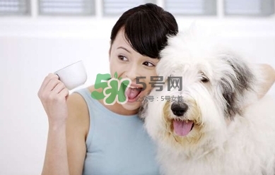 孕婦能養(yǎng)狗嗎？孕婦養(yǎng)狗注意事項