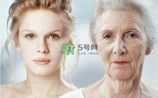 抗氧化是抗衰老嗎？抗氧化是不是就等于抗衰老？