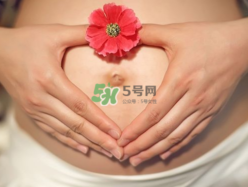 秋天孕婦可以吃絲瓜嗎？秋天孕婦吃絲瓜好嗎？