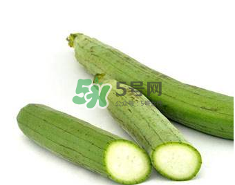 秋天吃絲瓜掉頭發(fā)嗎？秋天吃絲瓜愛掉頭發(fā)是真的嗎？